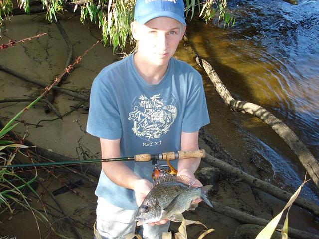 Another bream